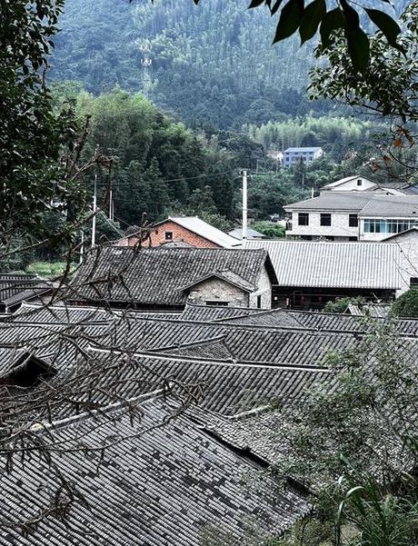 岳阳县杨林乡：探寻中国传统文化的乡村胜地