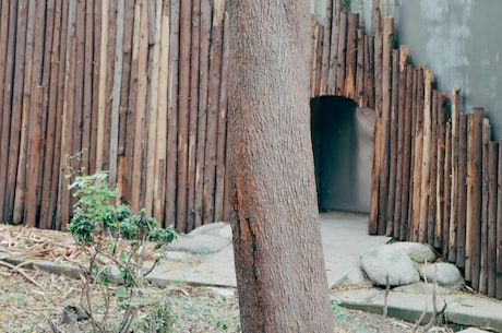 身份证大全 汉族身份证号：61042219941202141X9.杨波