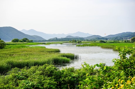 探秘杭州西溪湿地公园，感受纯净的绿色天堂