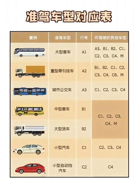 载客汽车，详解载客汽车的多种分类与使用