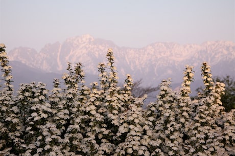 不可错过的自然美景——二郎山