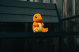 皮卡丘瞻仰CHARMANDER！它才是口袋妖怪世界的掌控者